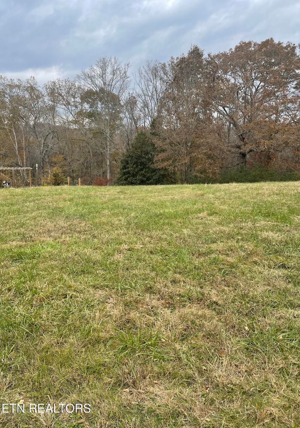 Photo of 160 Brabson Court, Kingston, TN 37763 (MLS # 1322276)