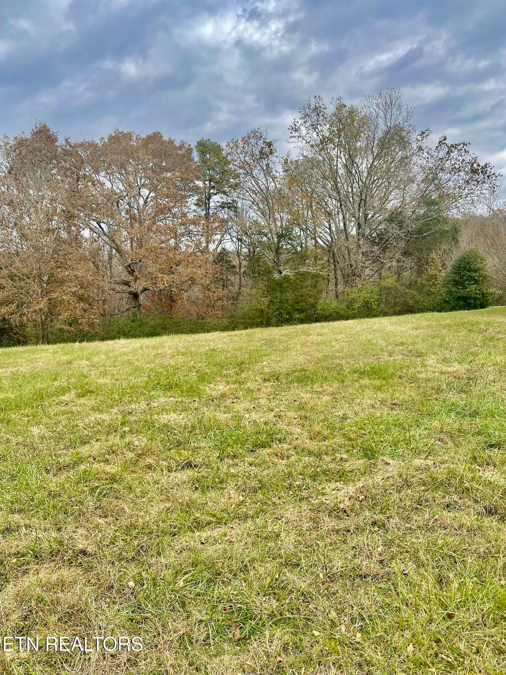 Photo of 160 Brabson Court, Kingston, TN 37763 (MLS # 1322276)