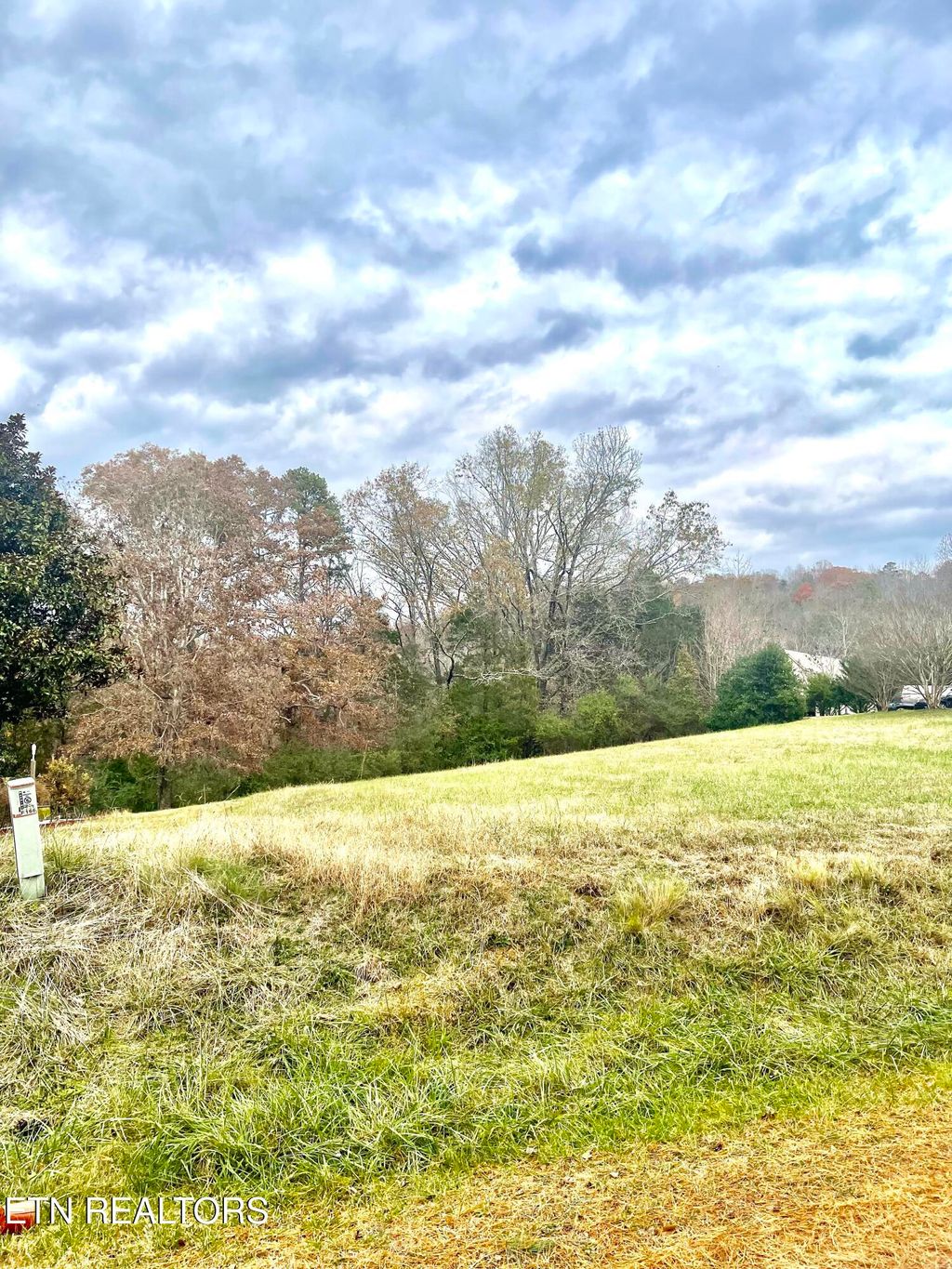 Photo of 160 Brabson Court, Kingston, TN 37763 (MLS # 1322276)