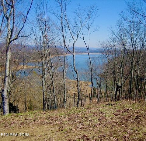 Tiny photo for 2021 Turners Landing Rd, Russellville, TN 37860 (MLS # 1290151)