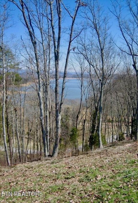 Tiny photo for 2021 Turners Landing Rd, Russellville, TN 37860 (MLS # 1290151)