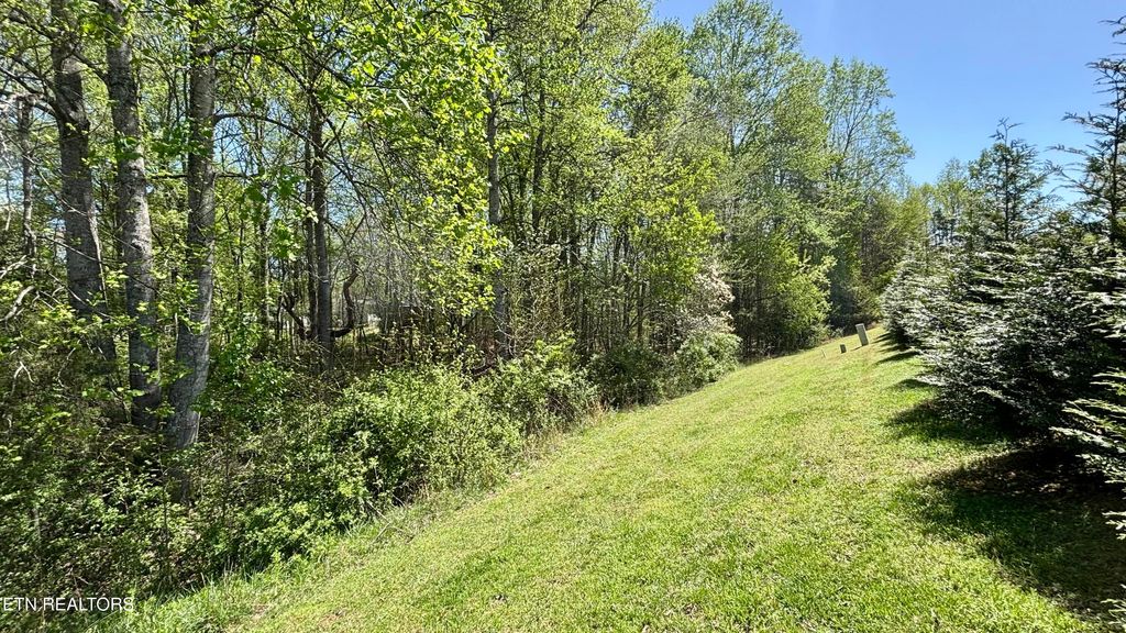 Photo of 31 Indigo Bunting Drive, Harriman, TN 37748 (MLS # 1297588)