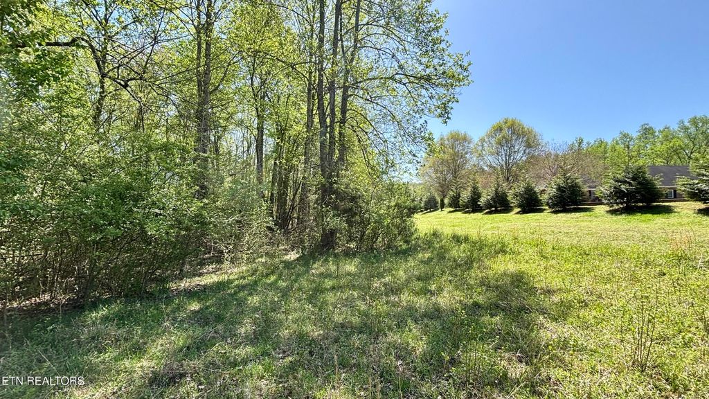Photo of 31 Indigo Bunting Drive, Harriman, TN 37748 (MLS # 1297588)