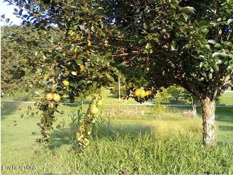 Tiny photo for 1894 Paint Rock Valley Rd, Philadelphia, TN 37846 (MLS # 1322556)