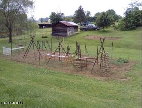 Tiny photo for 1894 Paint Rock Valley Rd, Philadelphia, TN 37846 (MLS # 1322556)