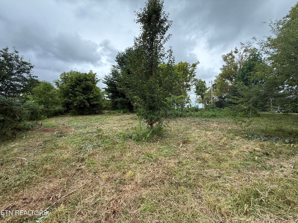 Photo of 141 Butternut Ridge Rd, Crossville, TN 38571 (MLS # 1353210)