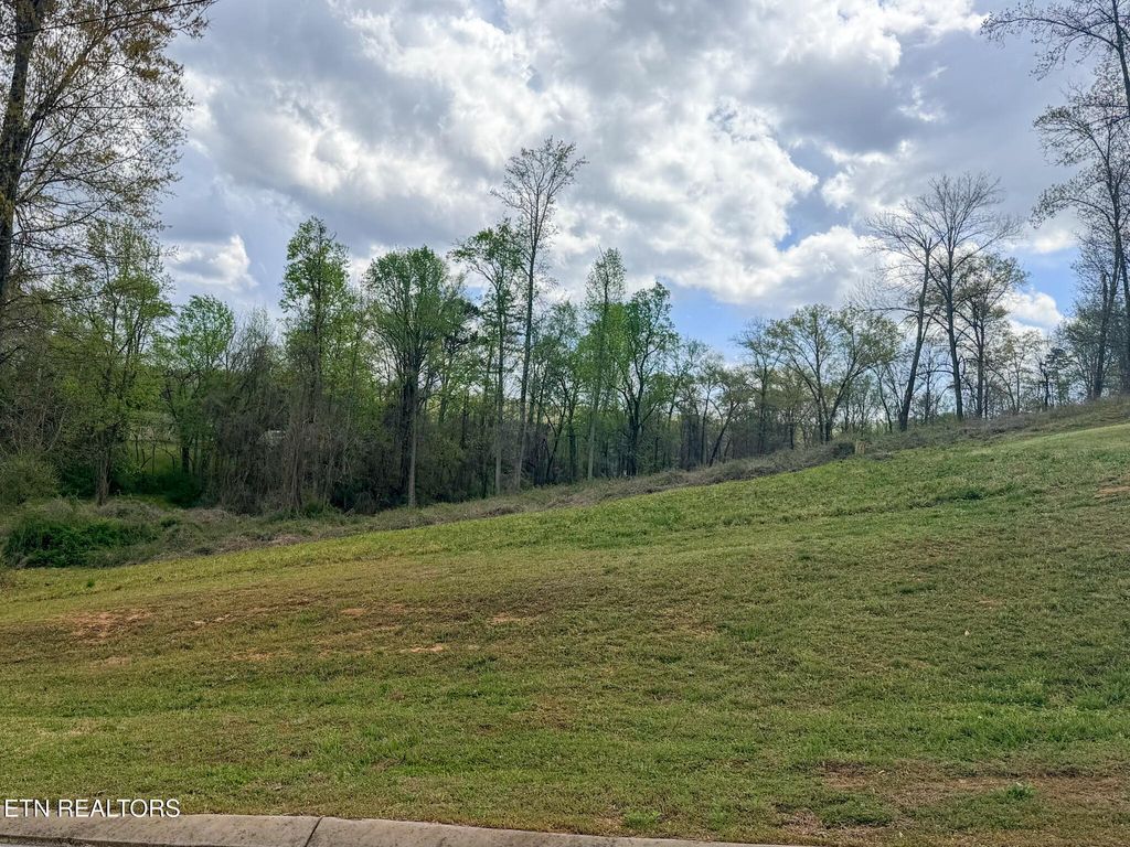 Photo of 0 Woodland Drive, Jasper, TN 37347 (MLS # 1335811)