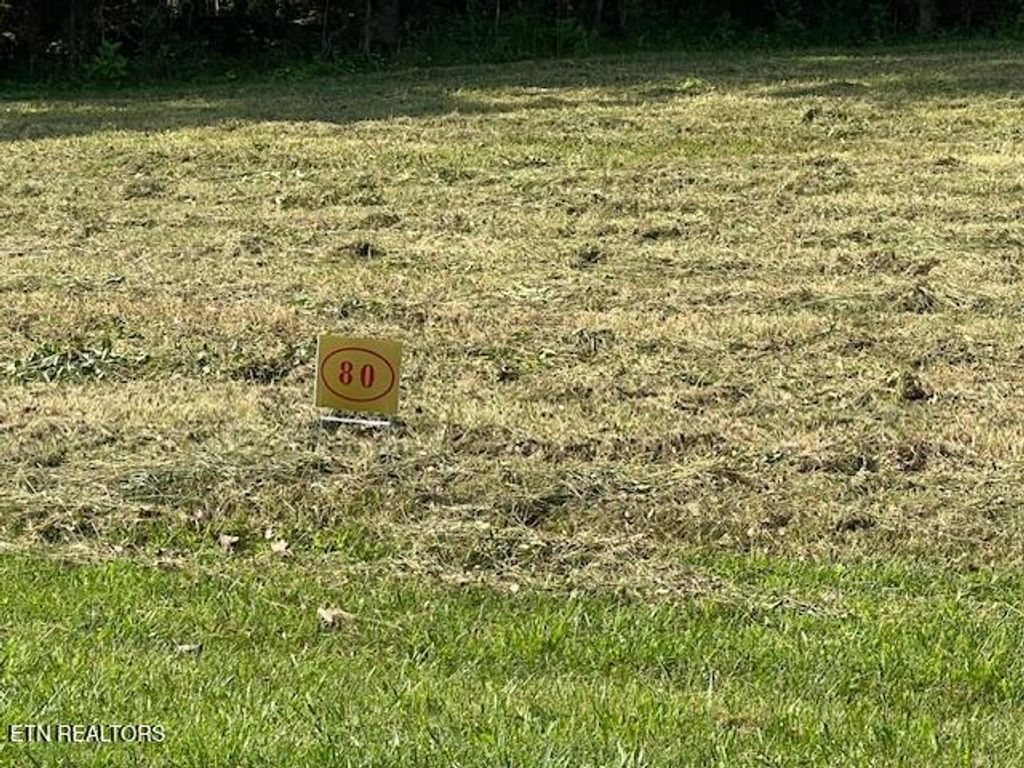 Photo of E Shore Drive, Rockwood, TN 37854 (MLS # 1260988)