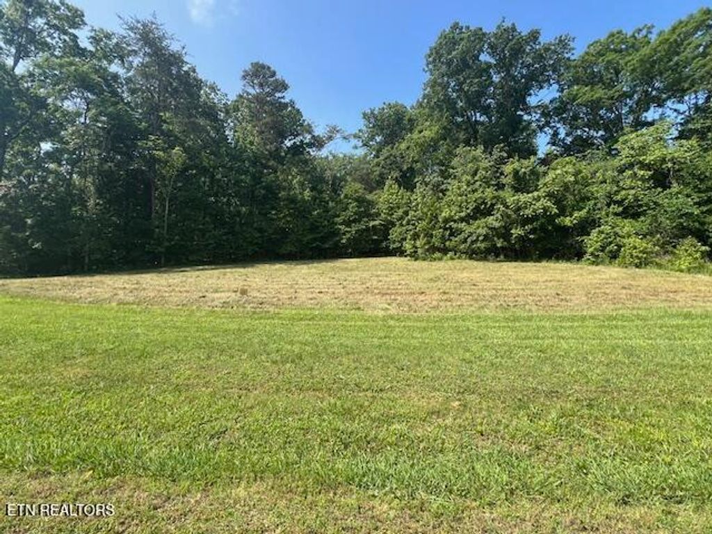 Photo of E Shore Drive, Rockwood, TN 37854 (MLS # 1260988)
