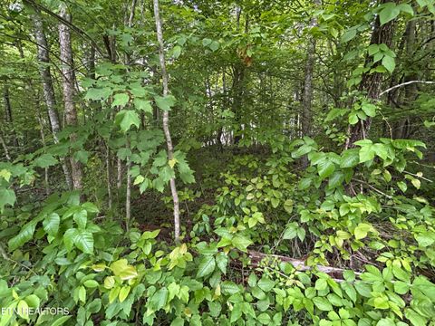 Hensley Rd Jamestown TN 38556