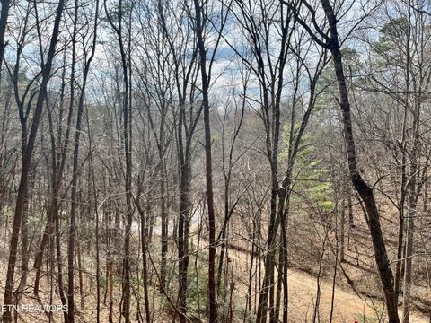 Tiny photo for 1520 Ski View Lane, Sevierville, TN 37876 (MLS # 1331321)
