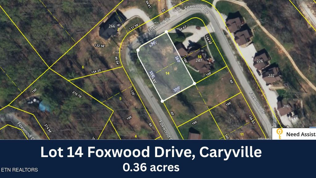 Photo of 14 Foxwood Drive, Caryville, TN 37714 (MLS # 1298112)
