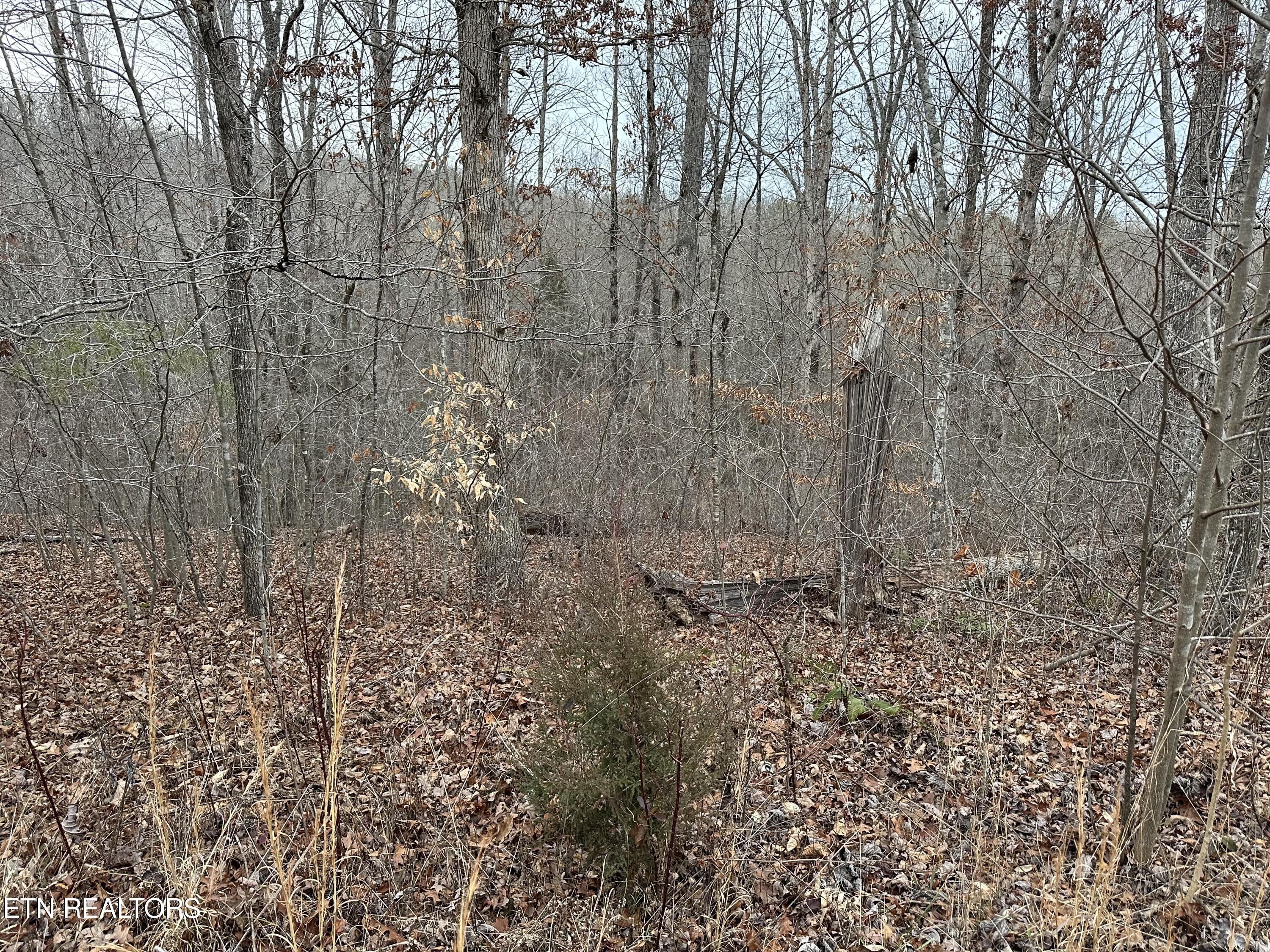 View Crawford, TN 38554 land