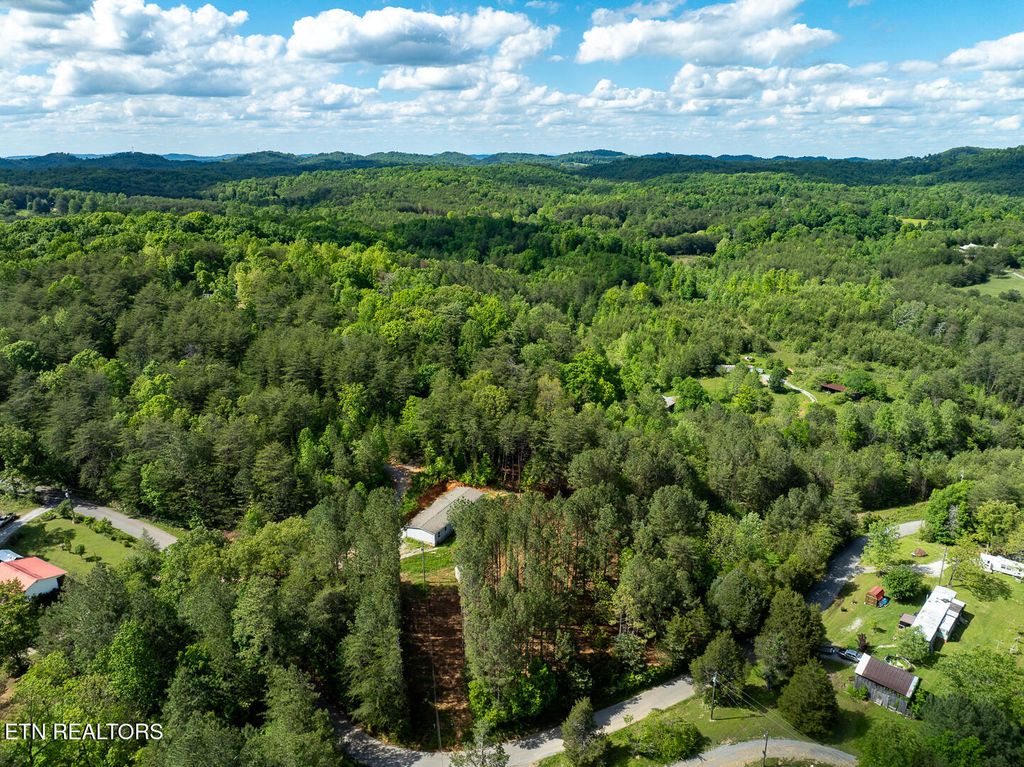 Photo of 171 Jd Farm Rd, Tellico Plains, TN 37385 (MLS # 1313242)