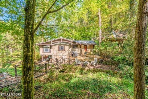259 Black Mash Hollow Rd Townsend TN 37882