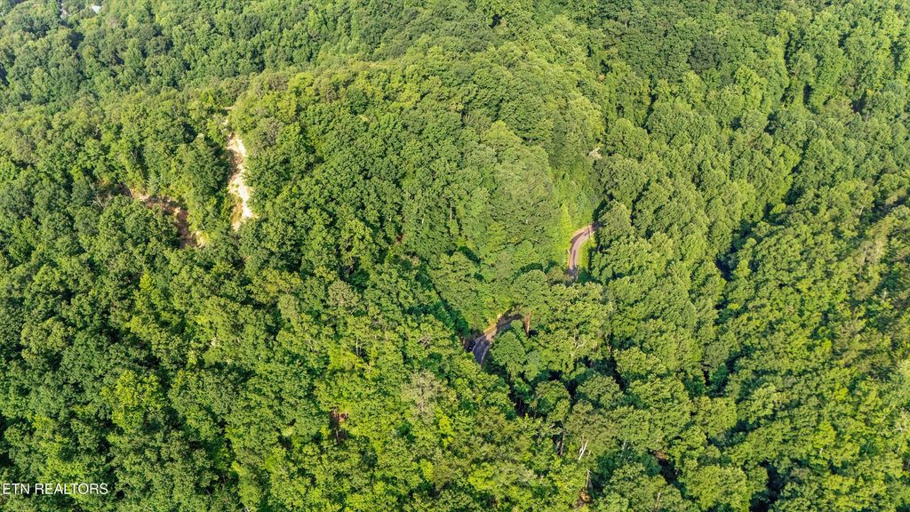 Photo of 1017 Big Buck Tr, Townsend, TN 37882 (MLS # 1307618)