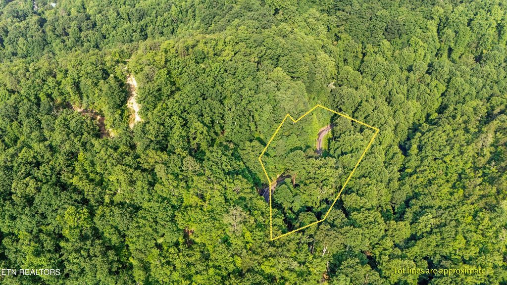 Photo of 1017 Big Buck Tr, Townsend, TN 37882 (MLS # 1307618)