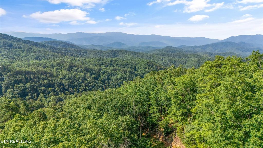 Photo of 1017 Big Buck Tr, Townsend, TN 37882 (MLS # 1307618)