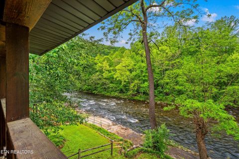 Tiny photo for 8513 E Lamar Alexander Pkwy, Townsend, TN 37882 (MLS # 1328373)