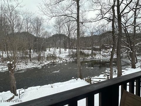 Tiny photo for 8513 E Lamar Alexander Pkwy, Townsend, TN 37882 (MLS # 1328373)