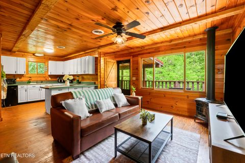 Tiny photo for 8513 E Lamar Alexander Pkwy, Townsend, TN 37882 (MLS # 1328373)