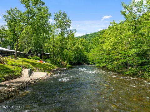 Tiny photo for 8513 E Lamar Alexander Pkwy, Townsend, TN 37882 (MLS # 1328373)