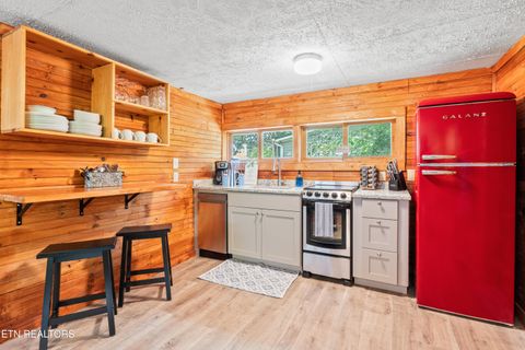 Tiny photo for 8513 E Lamar Alexander Pkwy, Townsend, TN 37882 (MLS # 1328373)