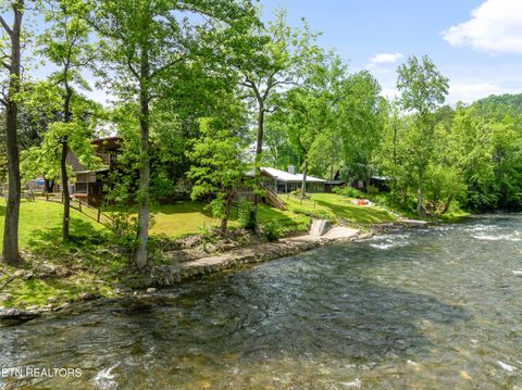 Tiny photo for 8513 E Lamar Alexander Pkwy, Townsend, TN 37882 (MLS # 1328373)