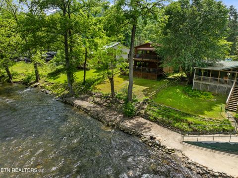 Tiny photo for 8513 E Lamar Alexander Pkwy, Townsend, TN 37882 (MLS # 1328373)