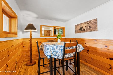 Tiny photo for 8513 E Lamar Alexander Pkwy, Townsend, TN 37882 (MLS # 1328373)