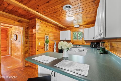 Tiny photo for 8513 E Lamar Alexander Pkwy, Townsend, TN 37882 (MLS # 1328373)