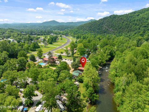 Tiny photo for 8513 E Lamar Alexander Pkwy, Townsend, TN 37882 (MLS # 1328373)