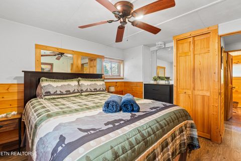 Tiny photo for 8513 E Lamar Alexander Pkwy, Townsend, TN 37882 (MLS # 1328373)