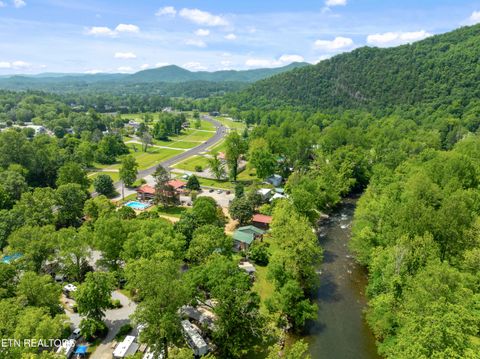 Tiny photo for 8513 E Lamar Alexander Pkwy, Townsend, TN 37882 (MLS # 1328373)