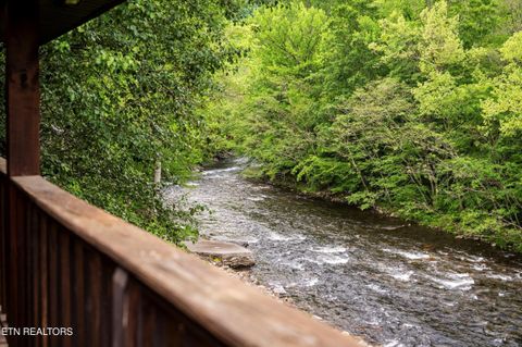 Tiny photo for 8513 E Lamar Alexander Pkwy, Townsend, TN 37882 (MLS # 1328373)