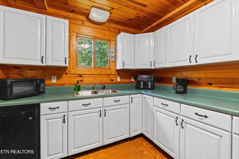 Tiny photo for 8513 E Lamar Alexander Pkwy, Townsend, TN 37882 (MLS # 1328373)