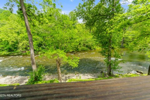 Tiny photo for 8513 E Lamar Alexander Pkwy, Townsend, TN 37882 (MLS # 1328373)