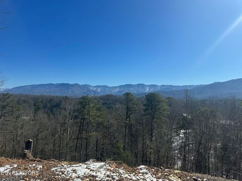Tiny photo for 3 Powdermill Rd, Gatlinburg, TN 37738 (MLS # 1323209)