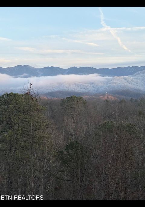 Photo of 3 Powdermill Rd, Gatlinburg, TN 37738 (MLS # 1323209)
