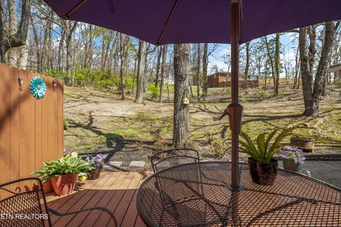 Tiny photo for 5614 Wassman Rd, Knoxville, TN 37912 (MLS # 1334277)