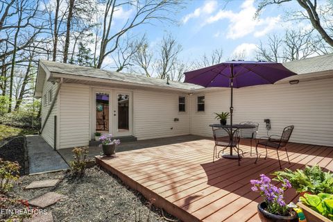Tiny photo for 5614 Wassman Rd, Knoxville, TN 37912 (MLS # 1334277)
