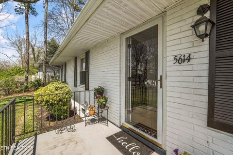 Tiny photo for 5614 Wassman Rd, Knoxville, TN 37912 (MLS # 1334277)