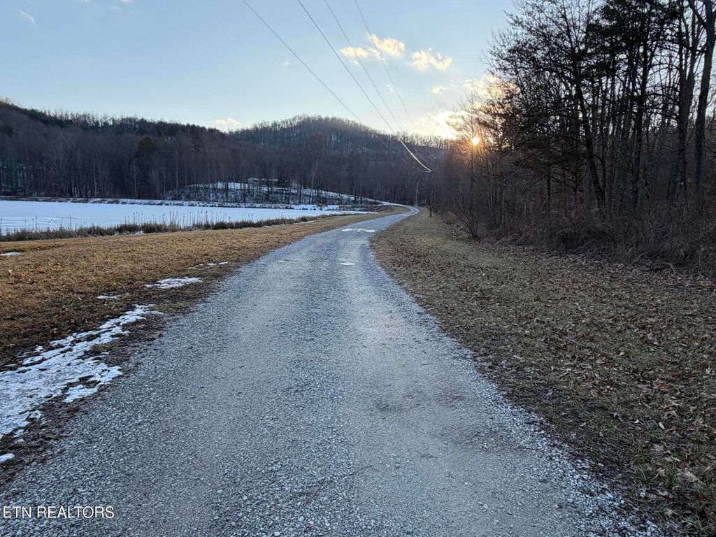 Photo of 4601 White Oak Rd, Duff, TN 37729 (MLS # 1329648)
