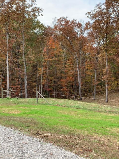 248 Crockett Creek Drive Jamestown TN 38556