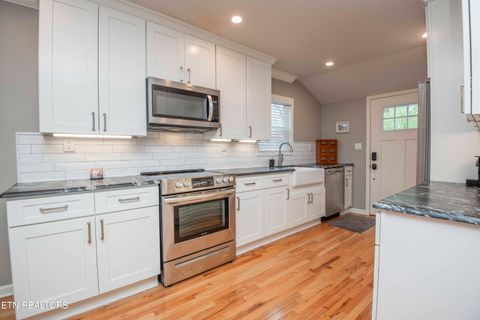 Tiny photo for 506 Mc Caslin Ave, Sweetwater, TN 37874 (MLS # 1332385)