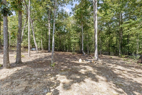 Tiny photo for 7381 Peytons Rise Way, Georgetown, TN 37336 (MLS # 1355242)