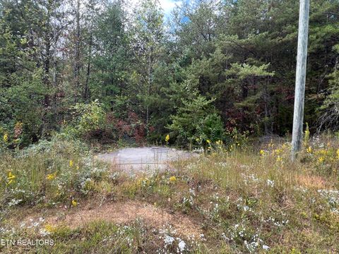 Tiny photo for 396 Towee Falls Rd, Tellico Plains, TN 37385 (MLS # 1317760)