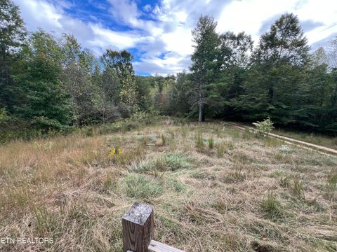 Tiny photo for 396 Towee Falls Rd, Tellico Plains, TN 37385 (MLS # 1317760)
