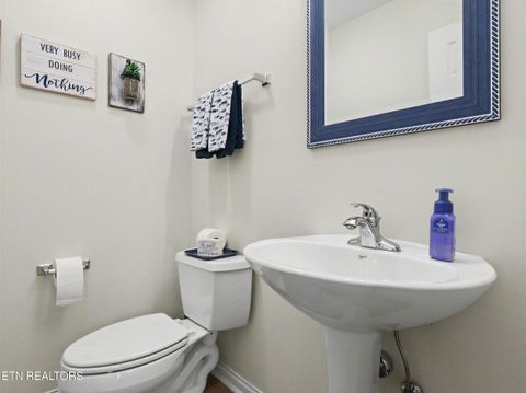 Tiny photo for 149 W Deer Village Lane, LaFollette, TN 37766 (MLS # 1333379)