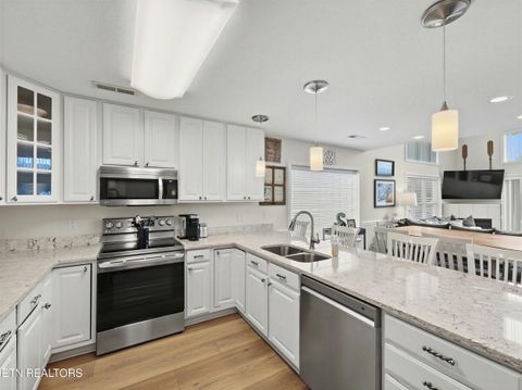 Tiny photo for 149 W Deer Village Lane, LaFollette, TN 37766 (MLS # 1333379)